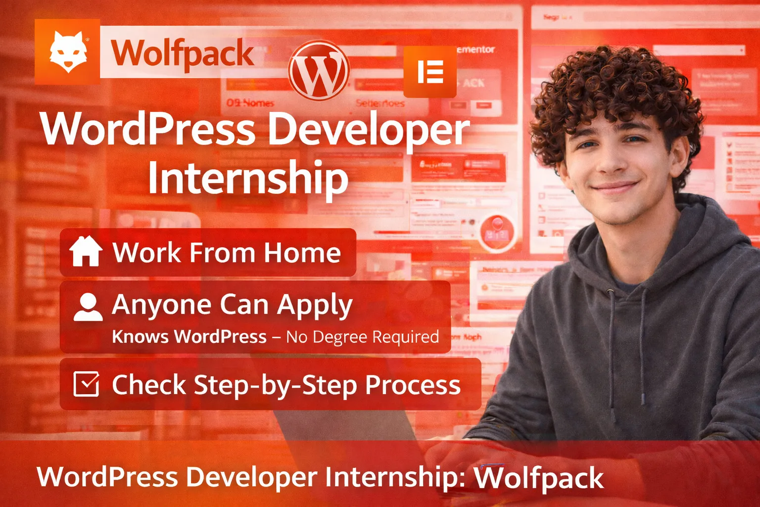WordPress Developer at Wolf Pack
