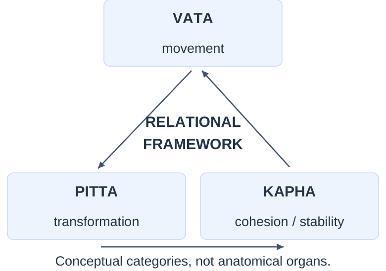 Tridosha Relationships