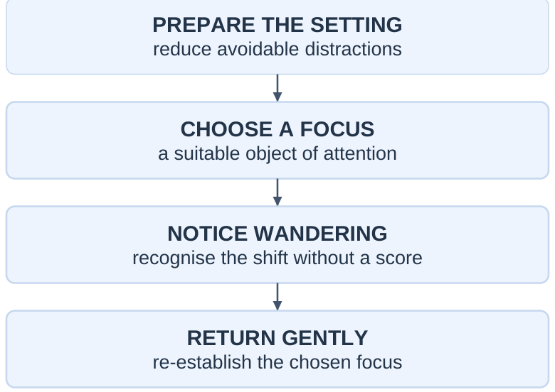 Attentional Discipline