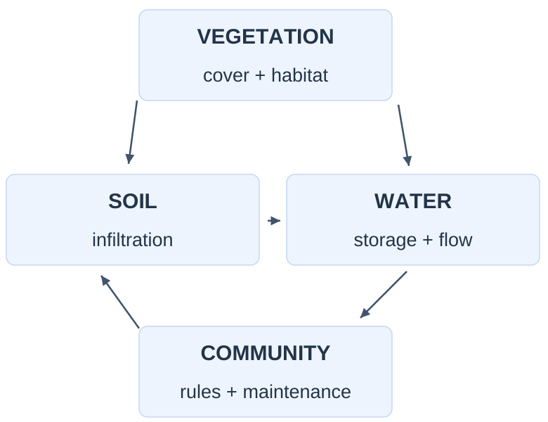 Vegetation, Soil, Water and Community