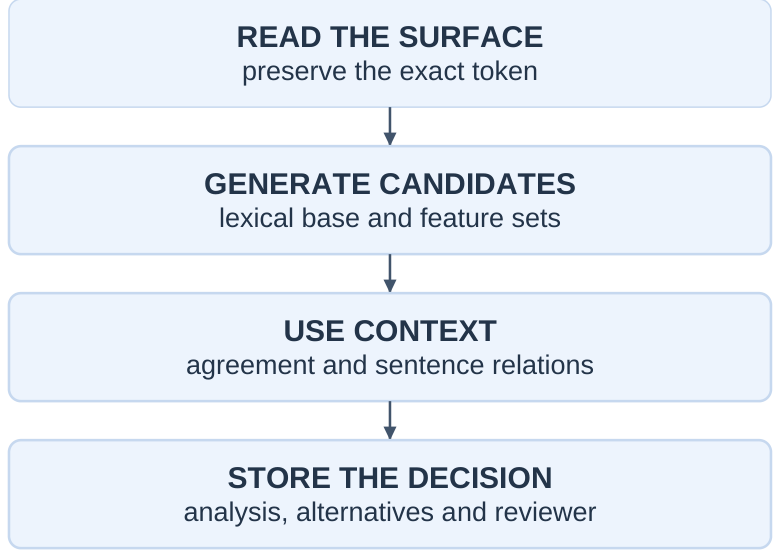 Morphology Workflow