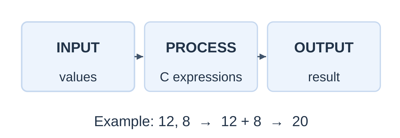 Input, Processing and Output