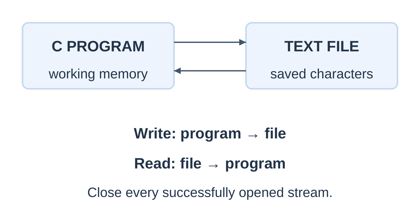 Program and Text File Streams