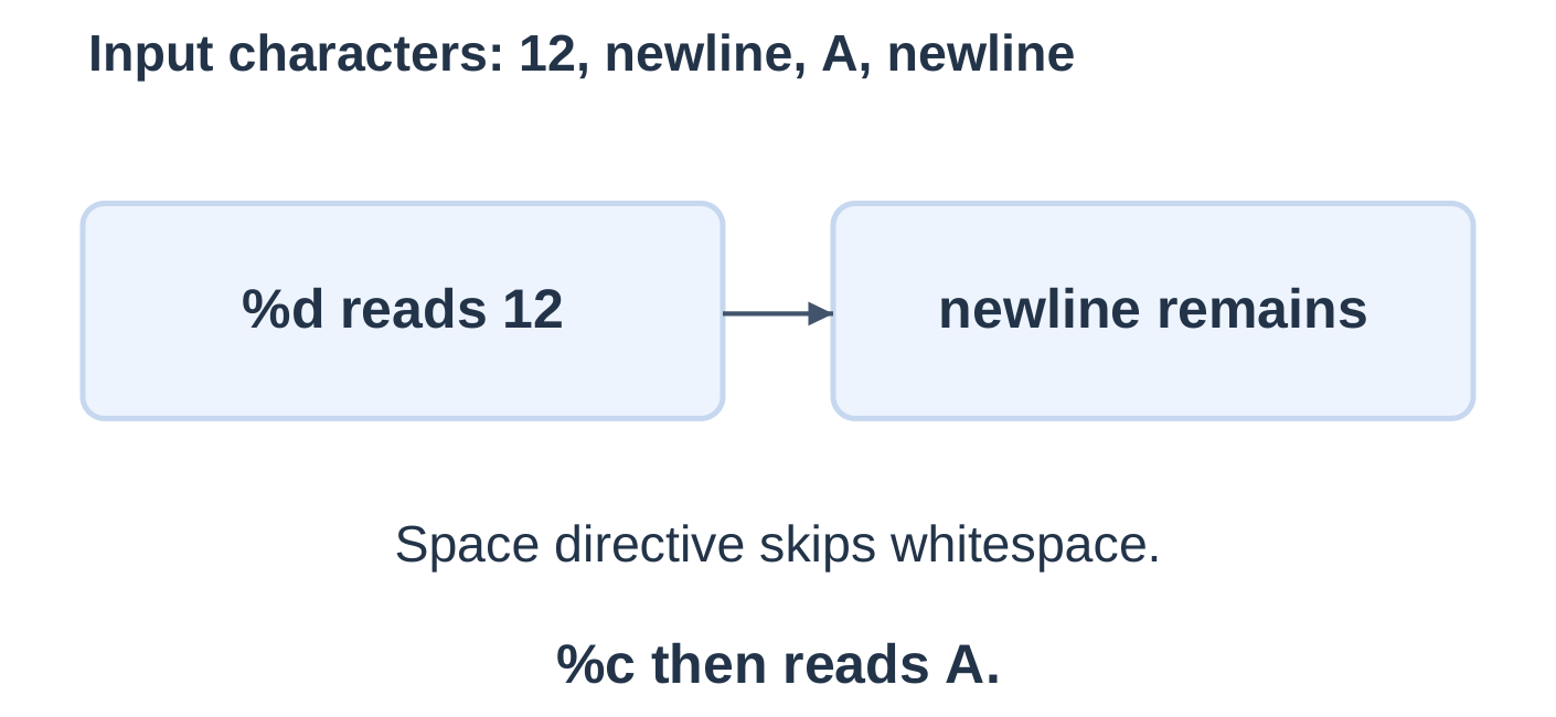 scanf Whitespace and Character Input